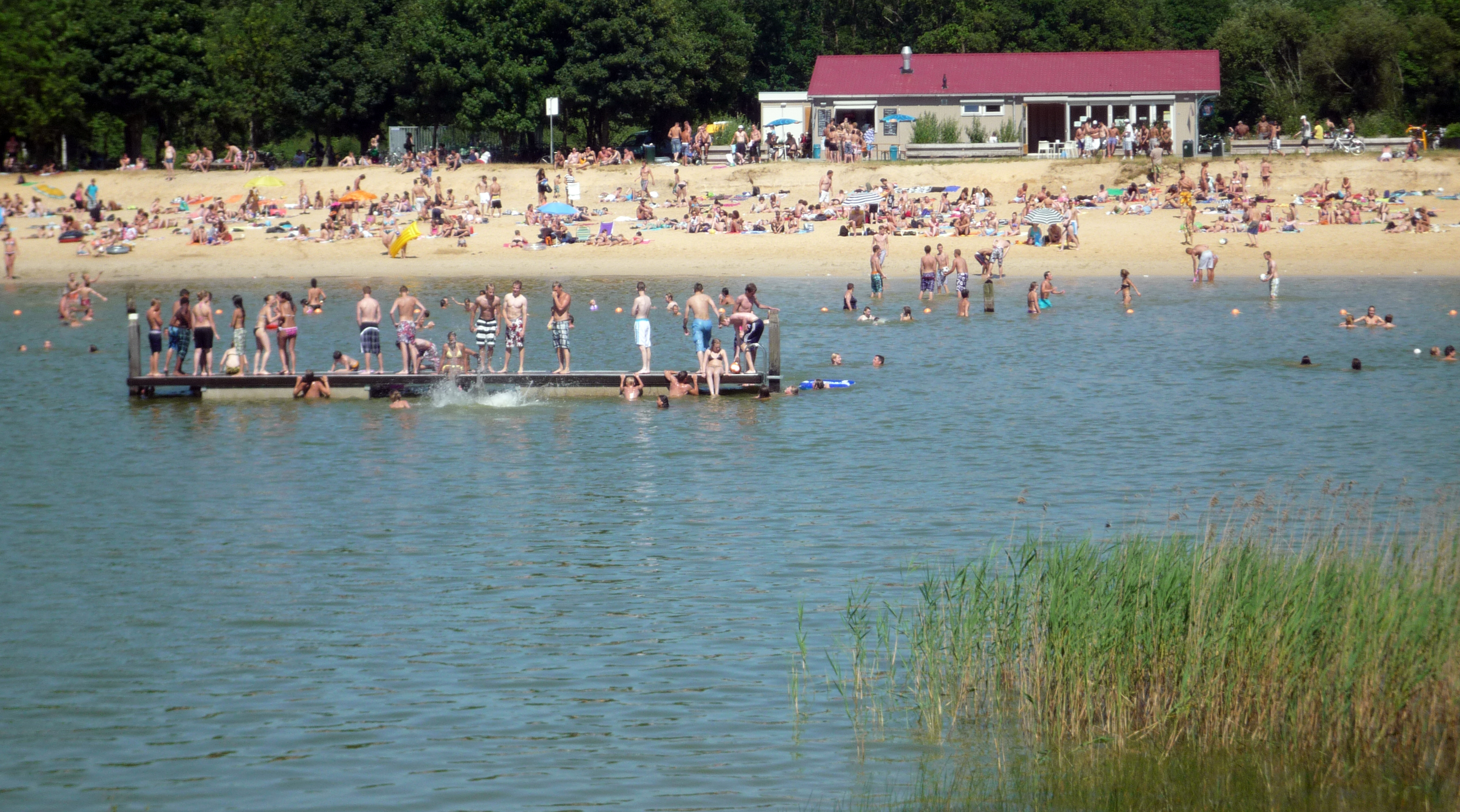Meren en zwemplassen in Drenthe: De mooiste plekken om te zwemmen - Reisliefde