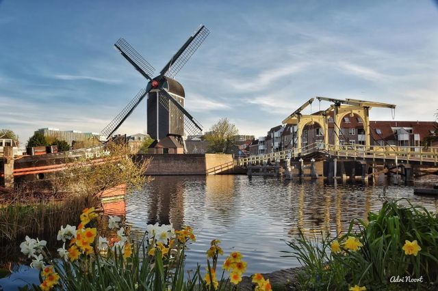 Leiden windmill and bridge