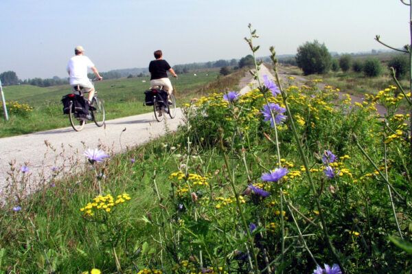 Fietsers rijden in zomers weer over een fietspad omgeven door bloemen en planten.
