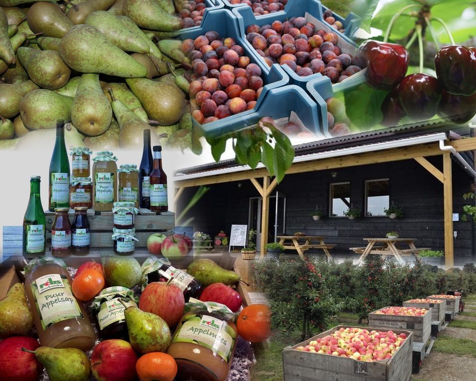 Compilatie van diverse fruitproducten van Roks Streekwinkel in Fijnaart.