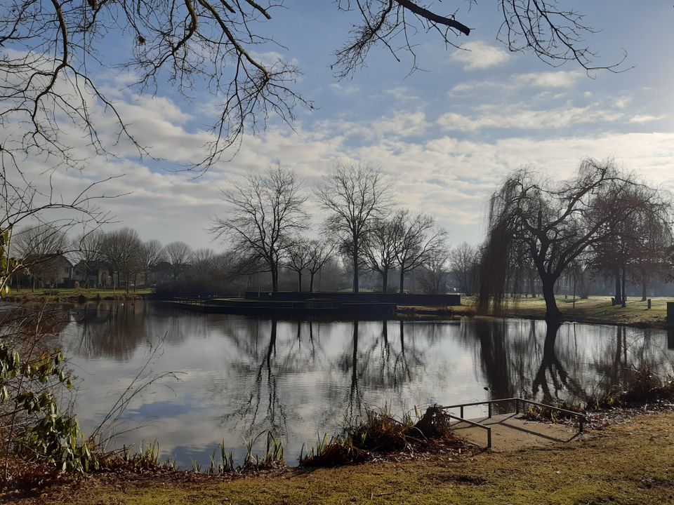 Pond in the Vlierpark Deurne in winter