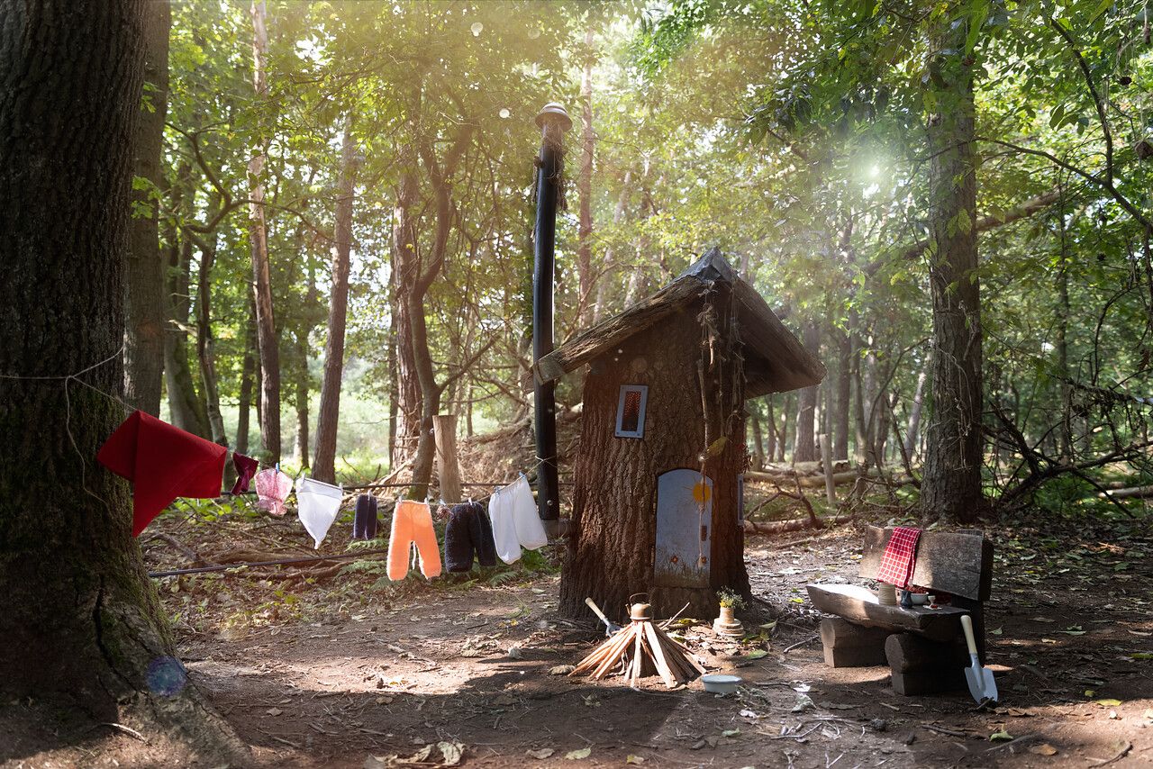Een zonnige foto van een kabouter woning in het bos.