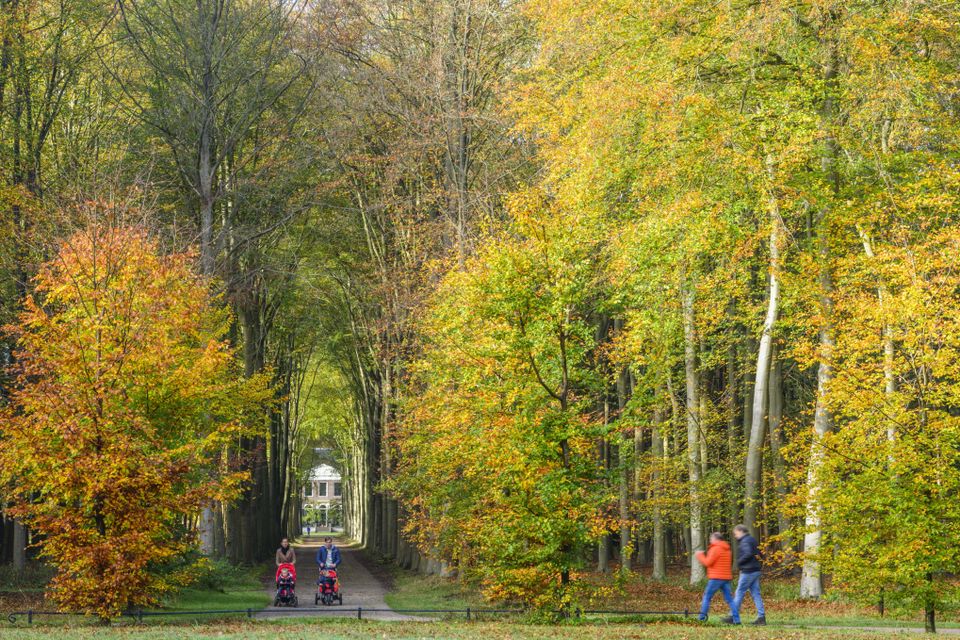 Buitenplaats Gooilust in de herfst met wandelaars