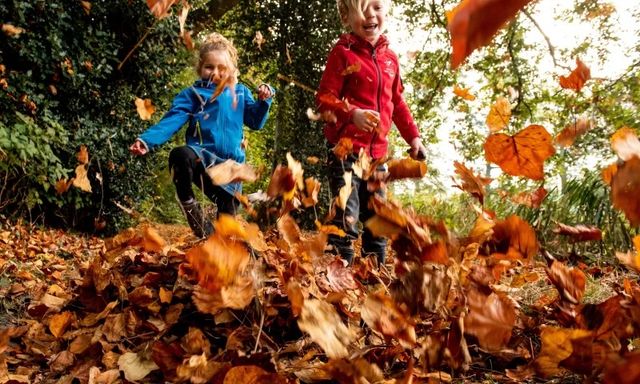 Kinderen spelen in de herfstbladeren