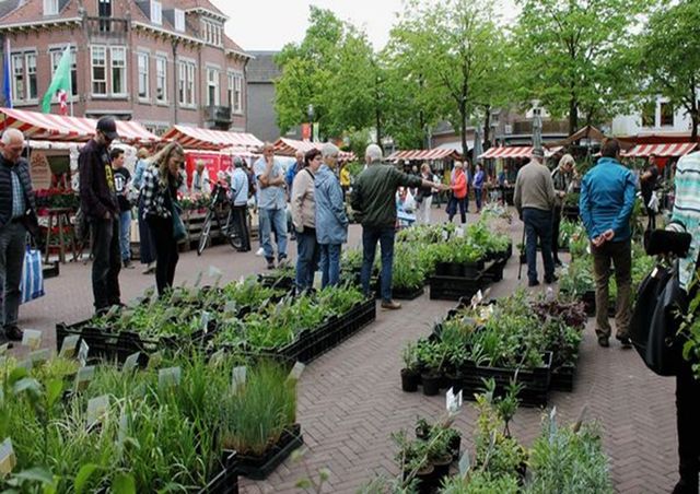 Planten- en tuinmarkt
