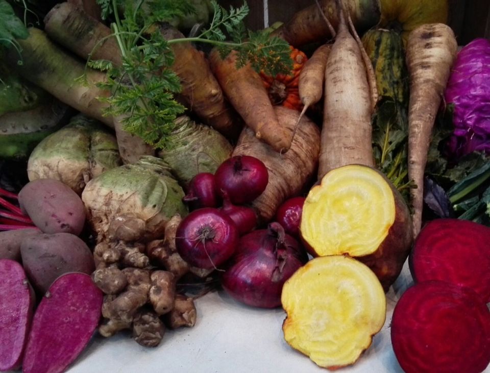 Collection of special vegetables grown at Bijzonder Brabants