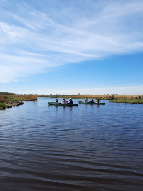 Groepje mensen die kanoën door het Ilperveld