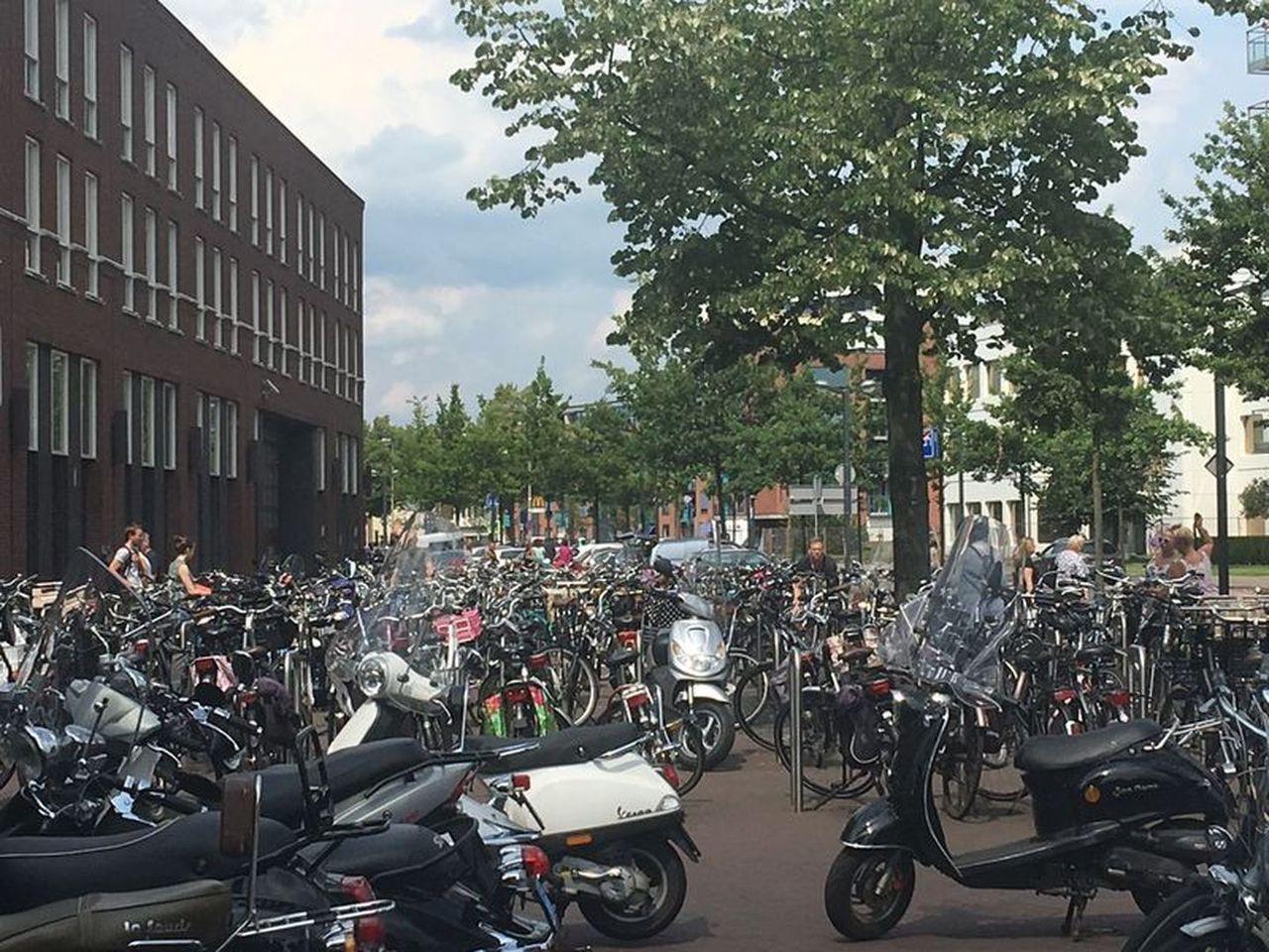 Fahrräder in der Nähe der Oude Markt