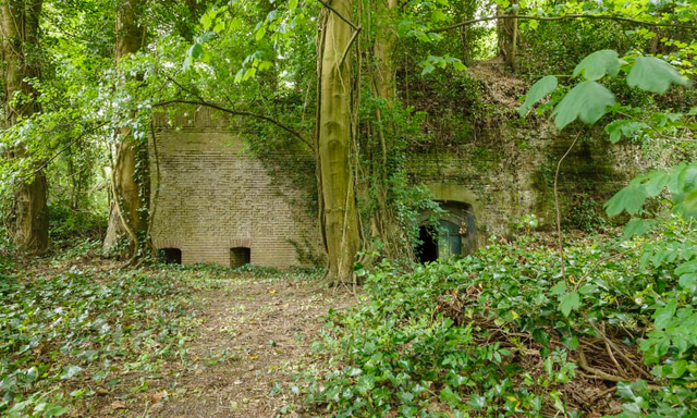 De ingang van een bakstenen fort in een overwoekerde omgeving