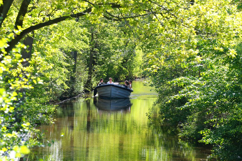 een wit bootje die over een slootje vaart omringt door groene bomen