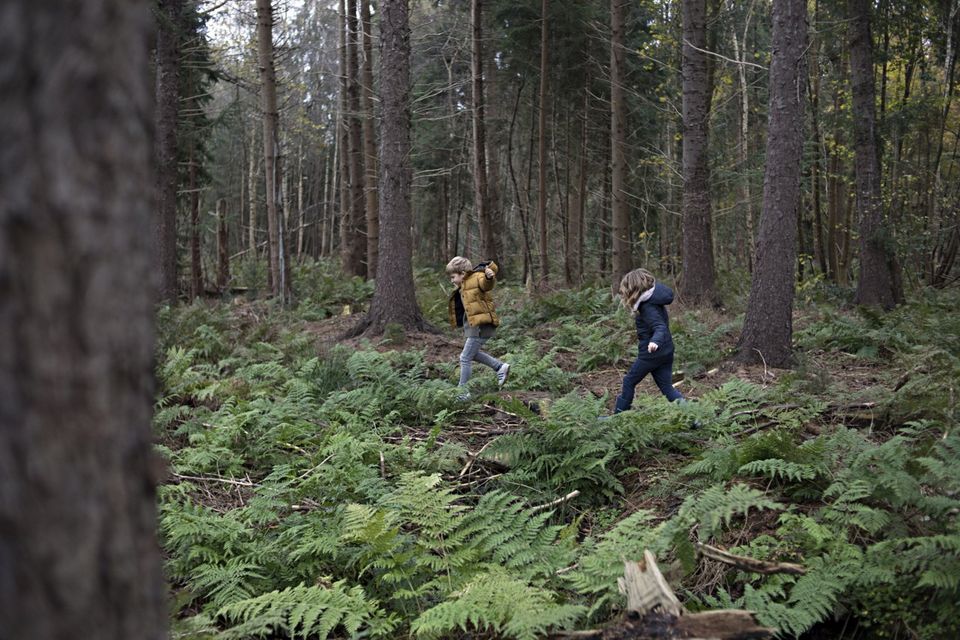 Een jongen en meisje rennen door het bos in Drenthe.