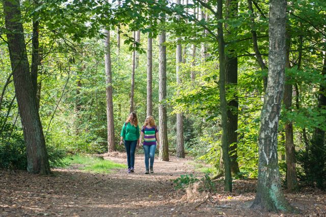 Twee vrouwen wandelen naast elkaar door het bos