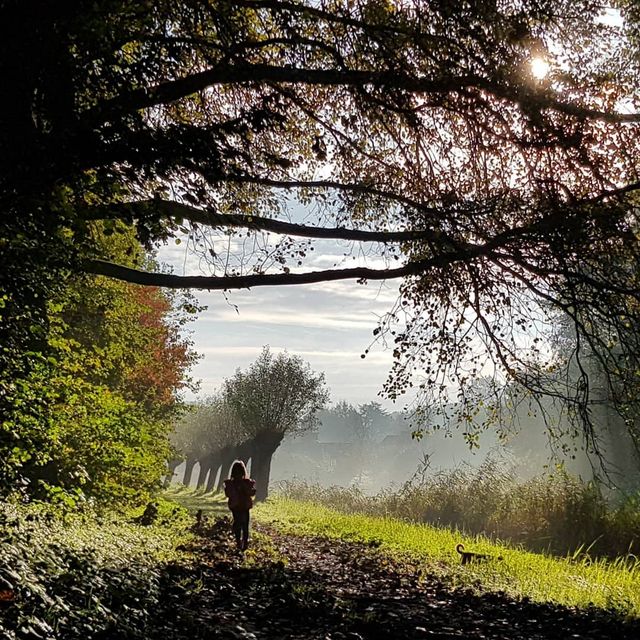 Foto gemaakt in het Westerpark met tegenzonlicht, kind wandelt op een pad met bomen en veel groen.