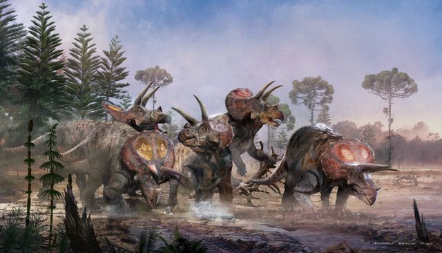 Ilustraion Triceratops - Bart Bus