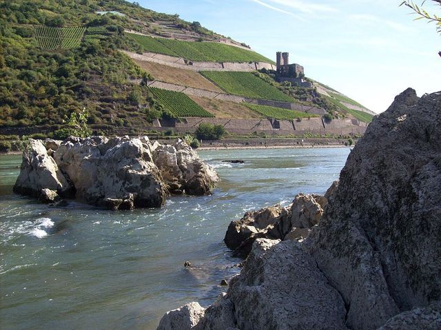Foto van de Binger Loch rotsformatie (deel dat boven het water uitsteekt). De rotsen zijn in de 17e eeuw met dynamiet grotendeels verwijderd waardoor de Rijn hier ook bevaarbaar werd.