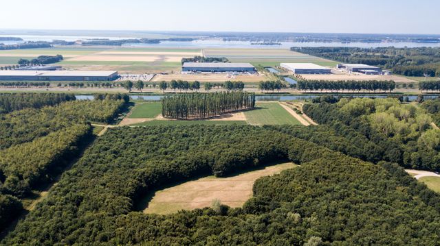 Het bosrijk gebied De Groene Kathedraal van Land Art Almere in Flevoland