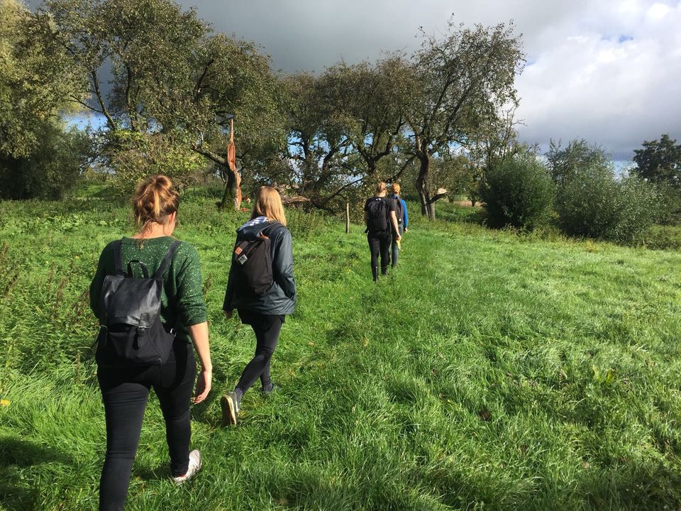 Een groepje vrouwen loopt door een groene omgeving.