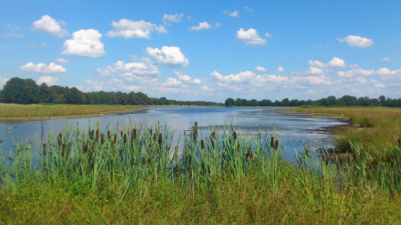 Een mooie foto van het natuurgebied bij Noordlus Brabantse Kempen.