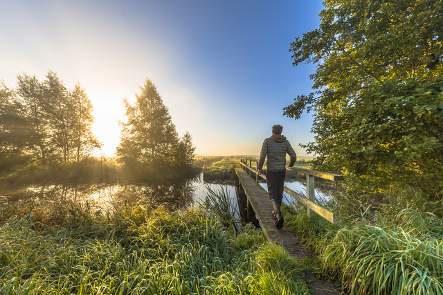 Ein Mann geht über eine Brücke im Nationalpark Drentsche Aa in Drenthe