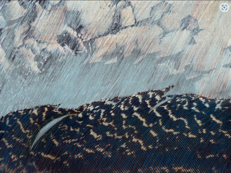 Hillegon Brunt, The Landscapes 08, potlood op papier
