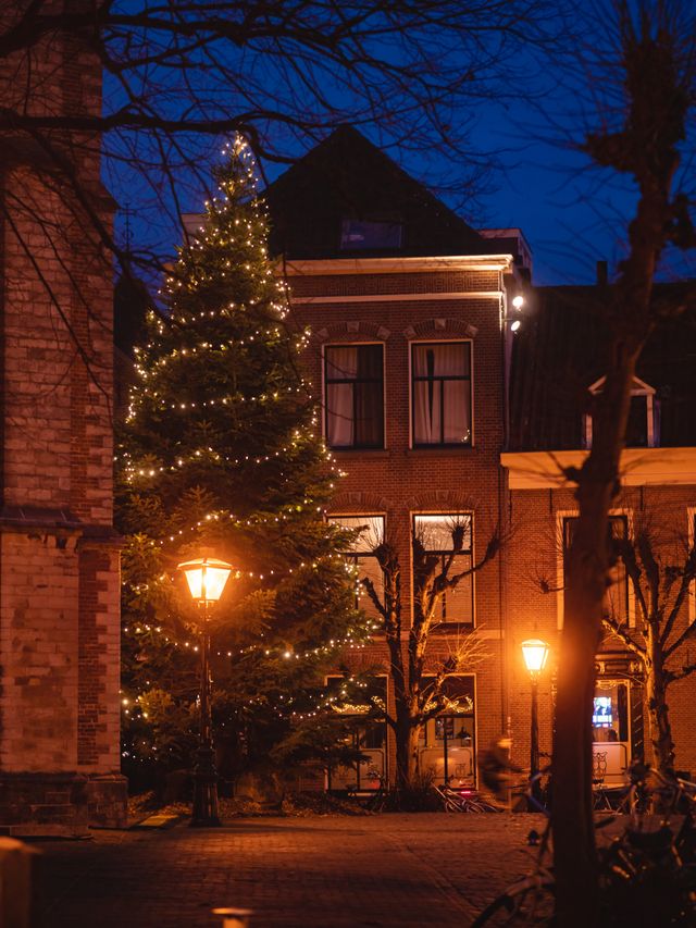 christmas tree in Leiden