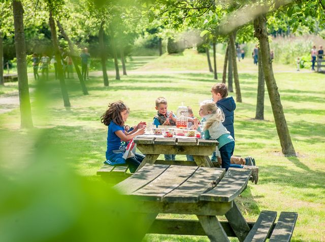 Kinderen eten in een park op een bankje