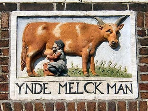 Gevelsteen van een koe in Monnickendam
