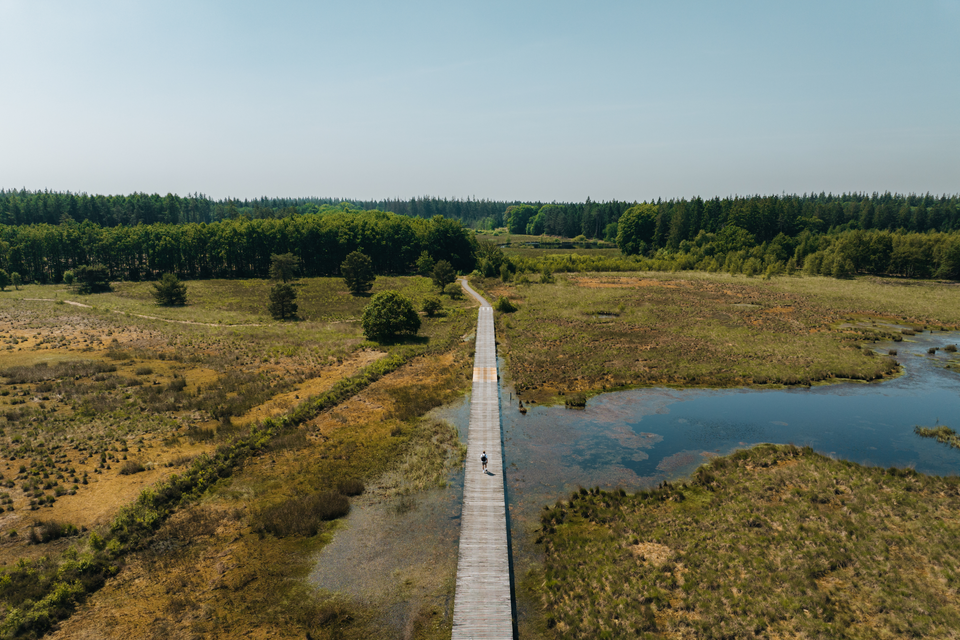 Drone foto van een man die wandelt over een langgerekt plankenpad in natuurgebied Hart van Drenthe op een zonnige dag.