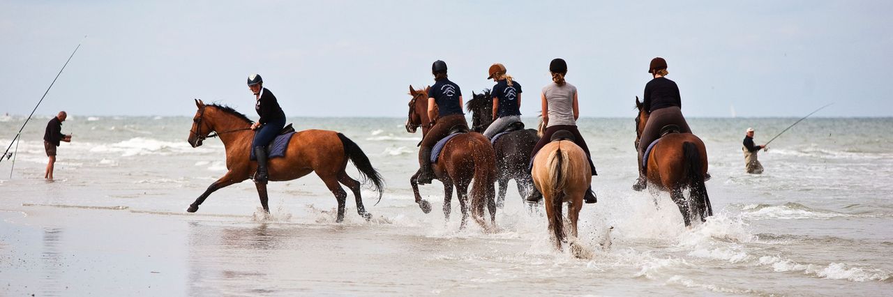 Paarden in galop op strand Vlieland met vissers