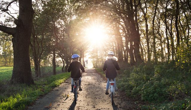 Twee kindjes fietsen samen in het bos. De zon schijnt heerlijk door de bomen heen.