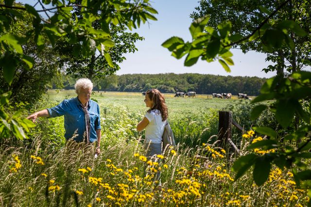 Een man en een vrouw in een veld met gele bloemen bij natuurterrein Het Slauerhoff
op de achtergrond staat een kudde koeien