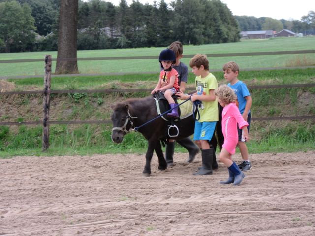 De kinderen mogen regelmatig ponyrijden.