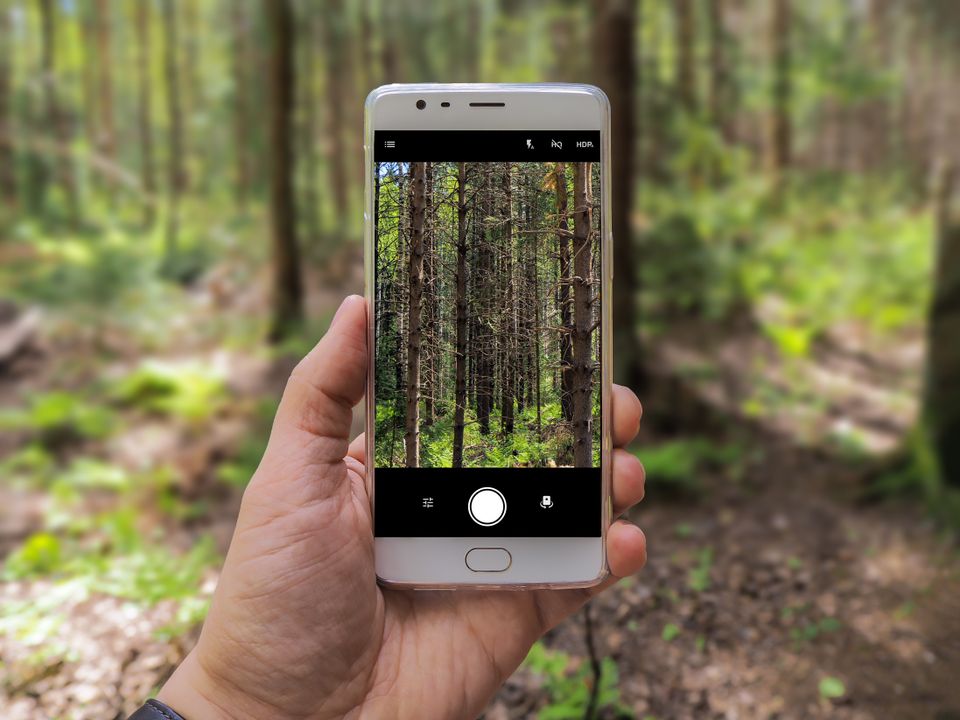 In het bos een foto maken van de natuur met een smartphone.