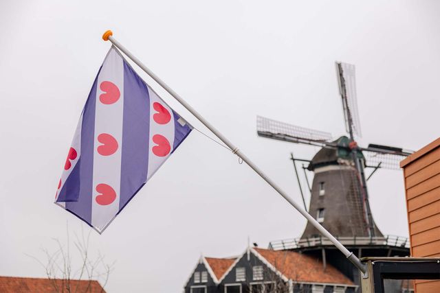 Houtzaagmolen De Rat met een Friese vlag op een grijze herfstdag