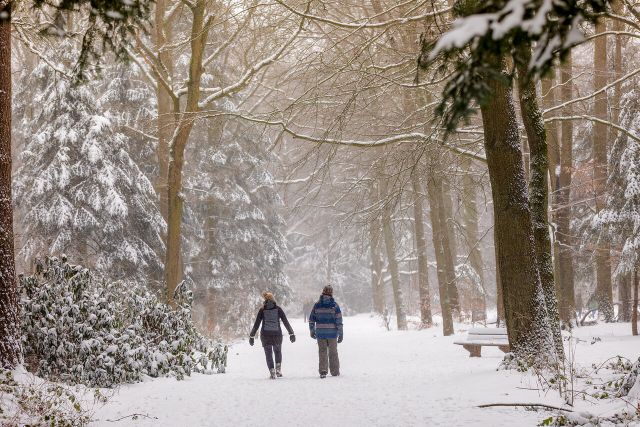 Wandelen in de sneeuw in Eindhoven