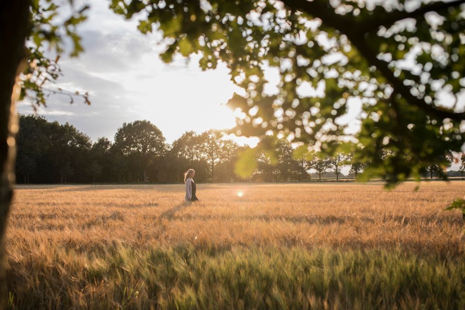 Vrouw loopt door een korenveld en de zon schittert door de bladeren.