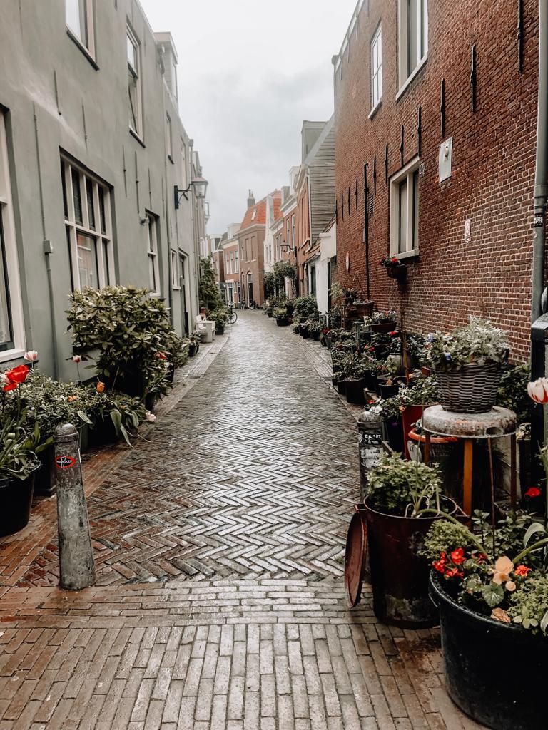 Haarlemse straatjes