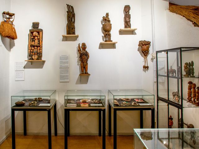 Een werelds museum te oudenbosch met uitgebreide collecties op het gebied van Natuur, Volkenkunde, Archeologie en Geologie