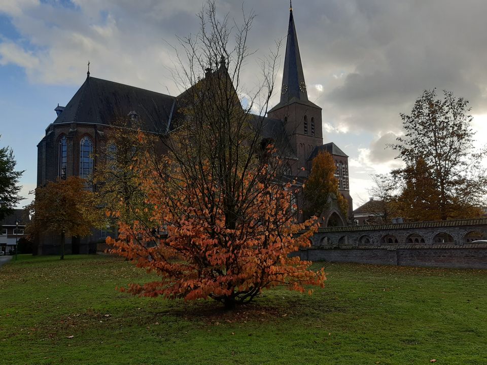 Sint Willibrorduskerk Deurne centrum herfst