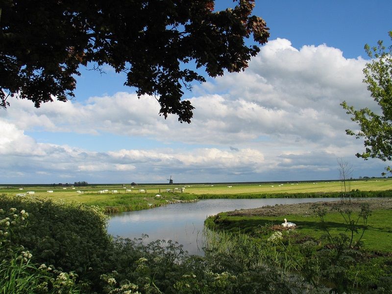 Landschapsfoto De Zeevang in Edam-Volendam