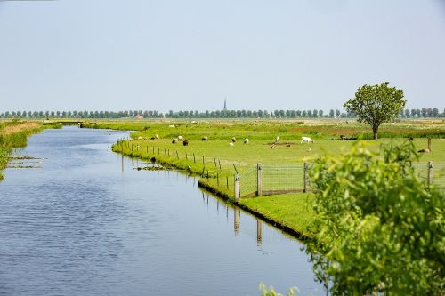 Natuur langs het Noord-Hollandpad