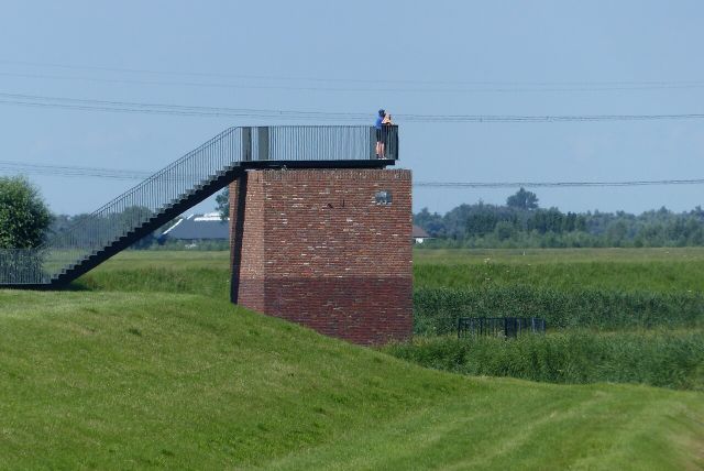 Uitkijktoren Biesbosch