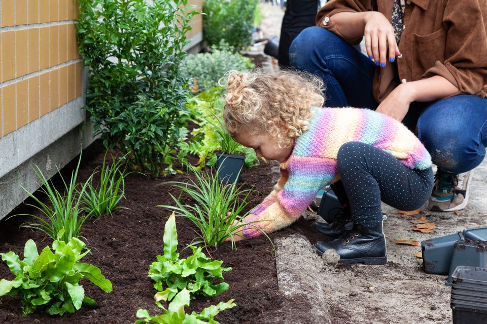 Foto van klein meisje die helpt met tuinieren.