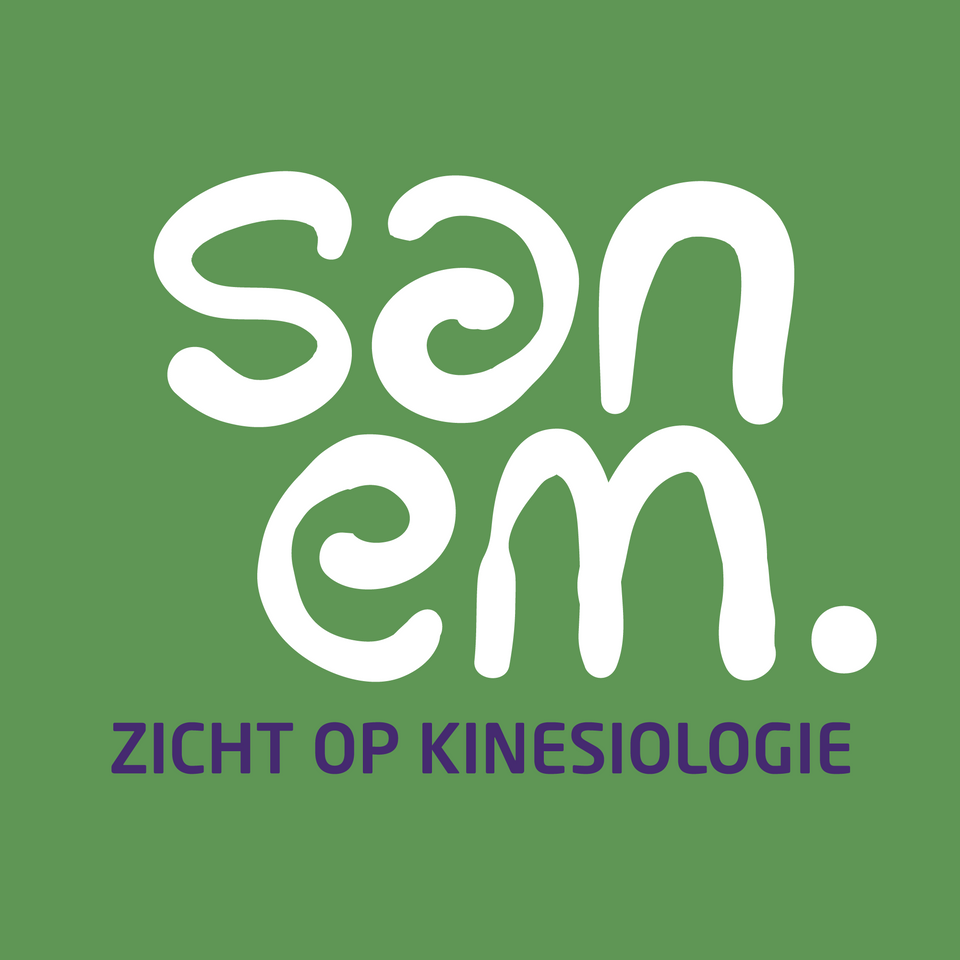 Logo Sanem