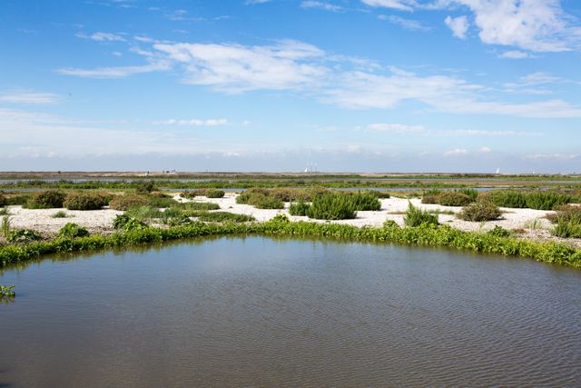Markerwadden eiland nieuwe natuur Lelystad water bootjes in verte