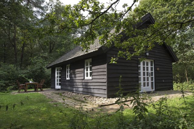 Een zwart houten vakantiehuisje met een zitje in het bos.