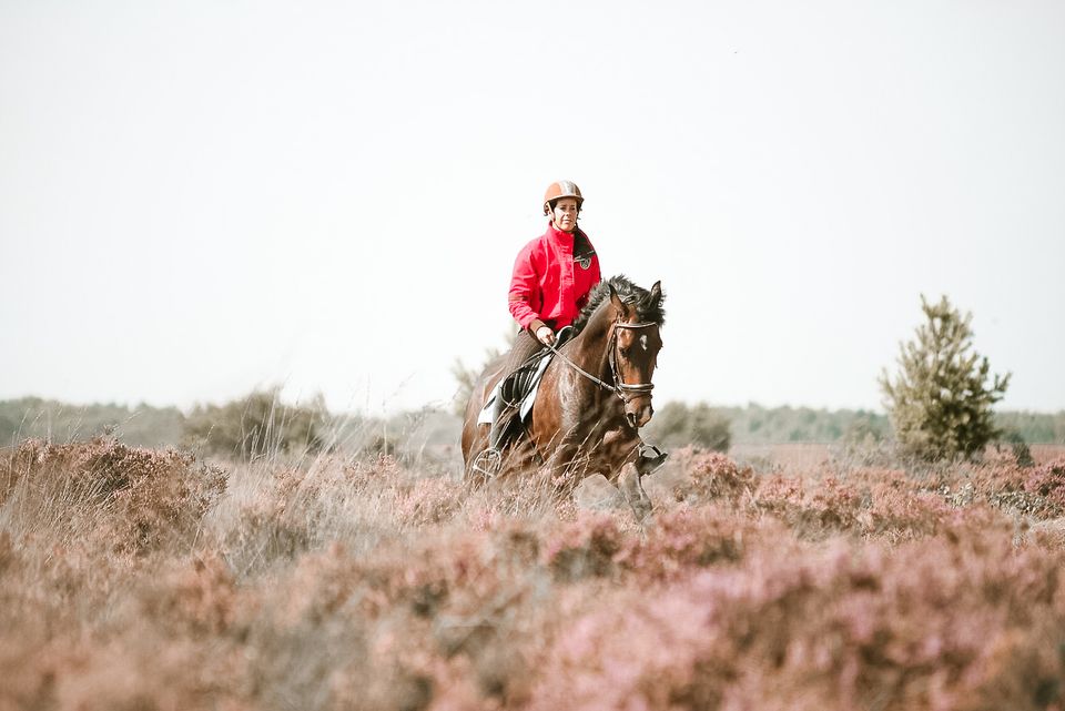 Groene Woud Paardrijden in Brabant
