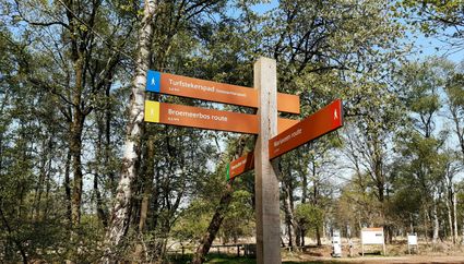 Hiking trails Staatsbosbeheer in Mariapeel in Helenaveen