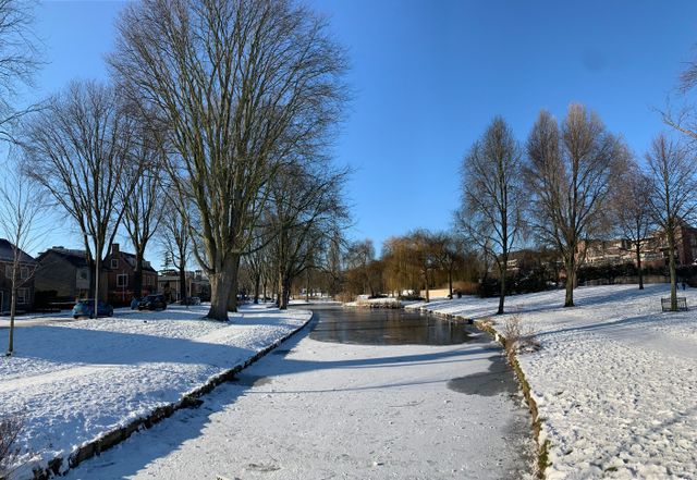 Foto van het Wilhelminapark in Zoetermeer in de winter.