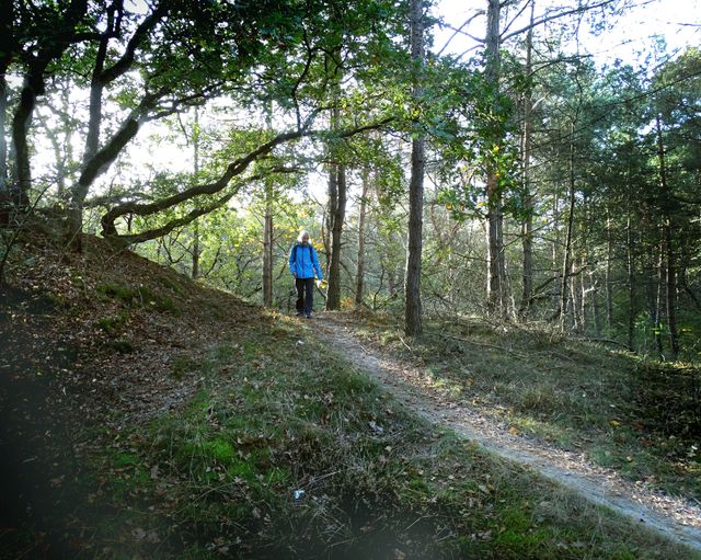 Christina Bloem wandelt op een heuvel in het bos